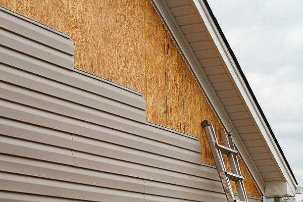 Best Custom Trim and Detailing for Siding  in Eulyptus Hills, CA